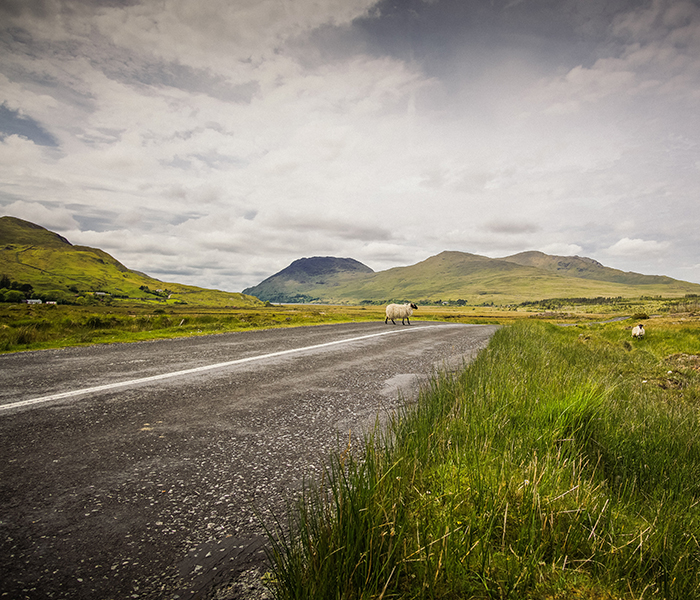 Trusted EMDR therapist in Tacoma Washington