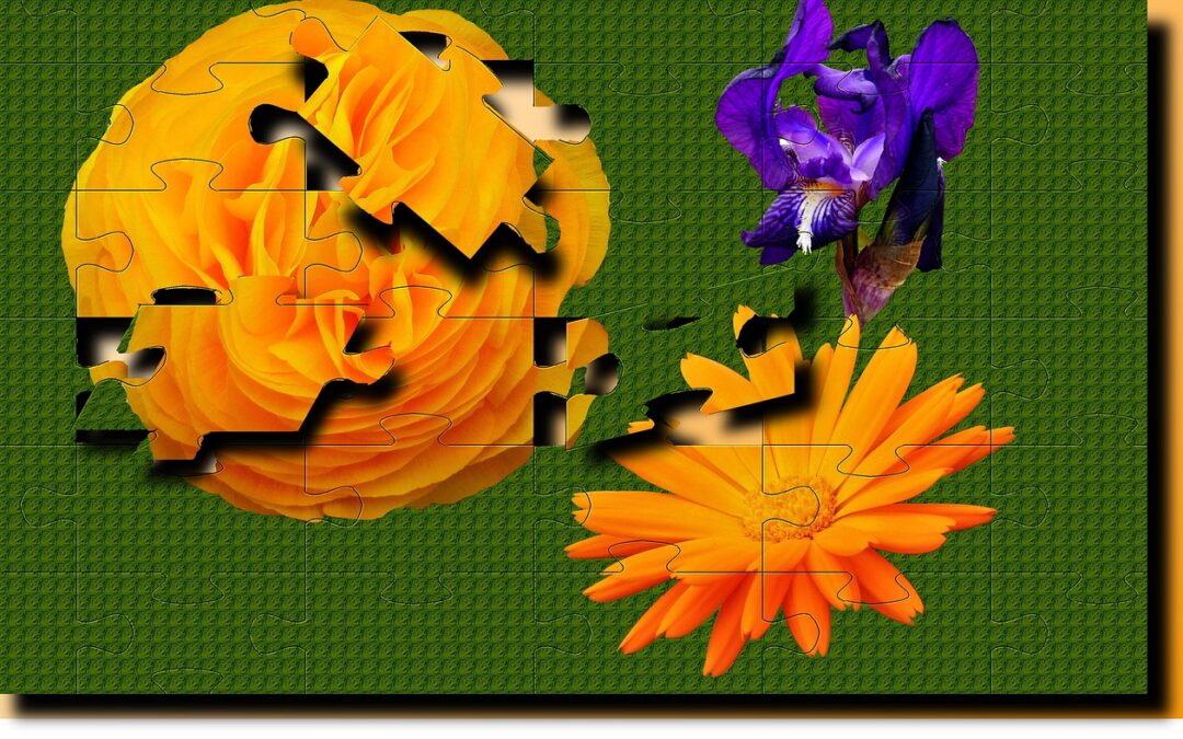 Introduction to Neurofeedback: Enhancing Brain Activity for Optimal Wellness