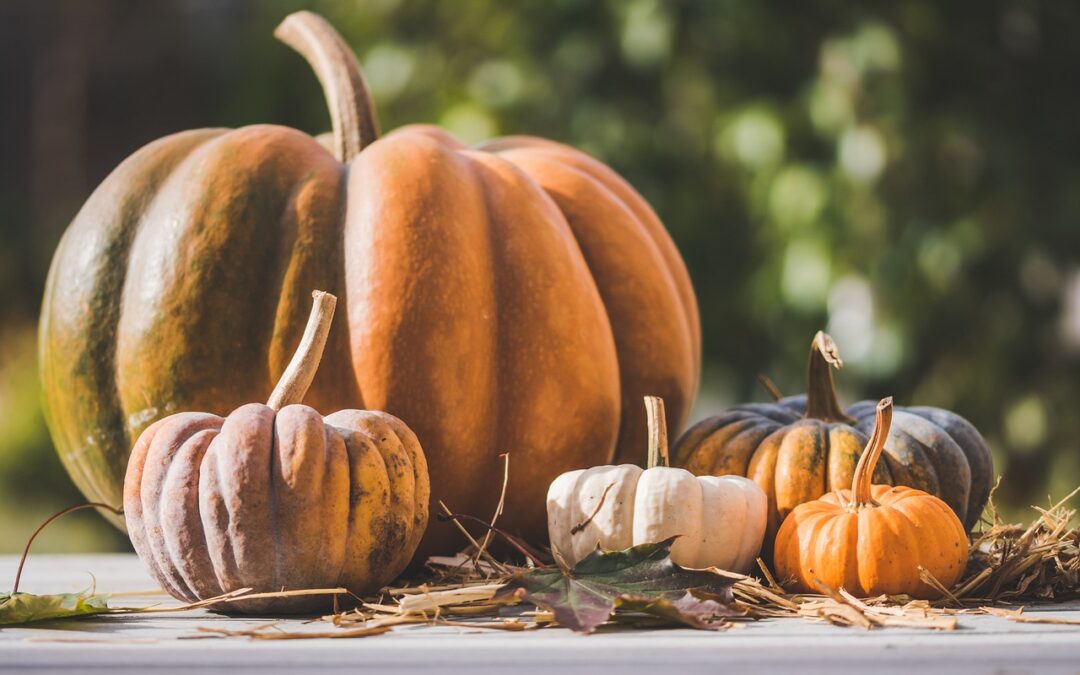 Nurturing Gratitude: A Guide to Mental Wellness this Thanksgiving with LENS Neurofeedback